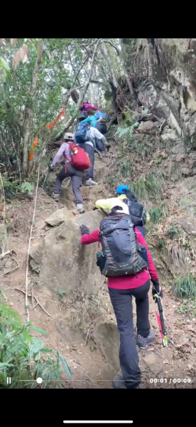 走大橫屏山九份二山(小百岳#45、47)賞梅去2695082