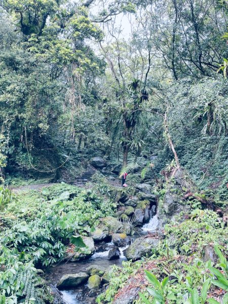 20250329 抹茶山-聖母登山步道2758933