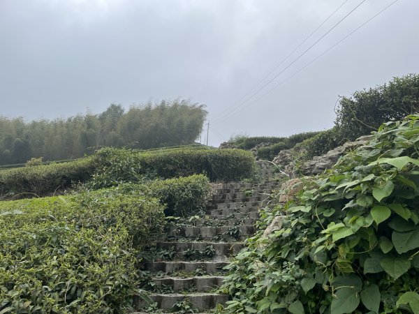 2023_0429_挑筍古道2138259