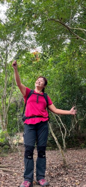 馬那邦山（珠湖登山口）2933972