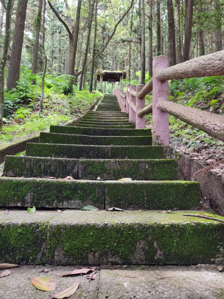 鳴鳳古道南隘勇(南長城)古道O行走1753319