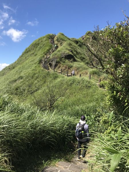 陽明山東西大縱走146725