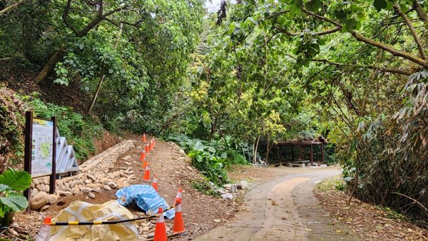 田中麒麟山連走田中森林公園北天宮O繞+ 田中大小劍逆走2756716