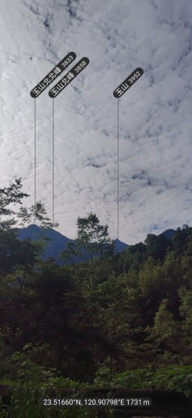 沙里仙林道、沙里仙溪、同富山/埔沙山、東埔山、阿毛巨木2812443