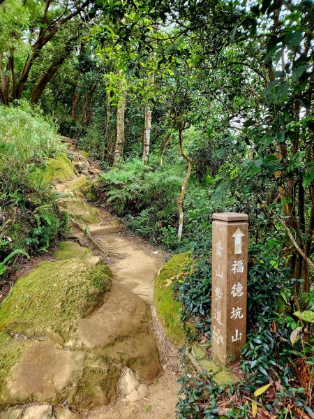 小百岳集起來-鳶山2181107