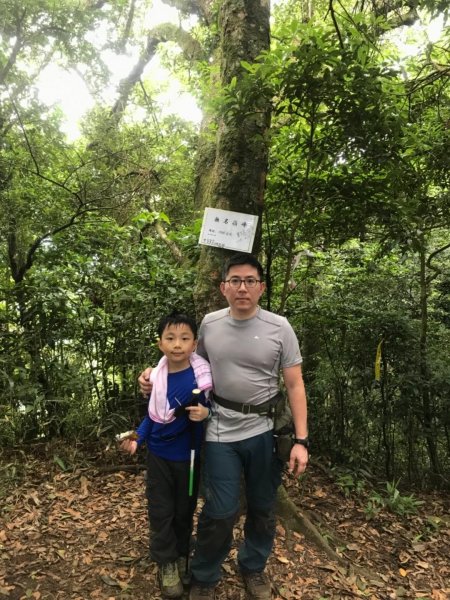 新竹五指山599746