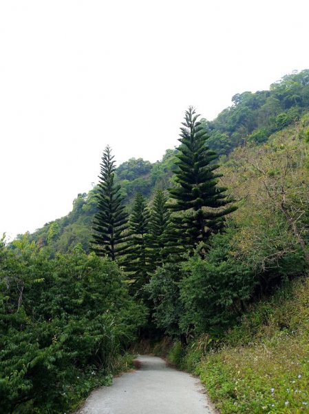 梅峰古道+獵鷹尖一線天+伍龍步道938492