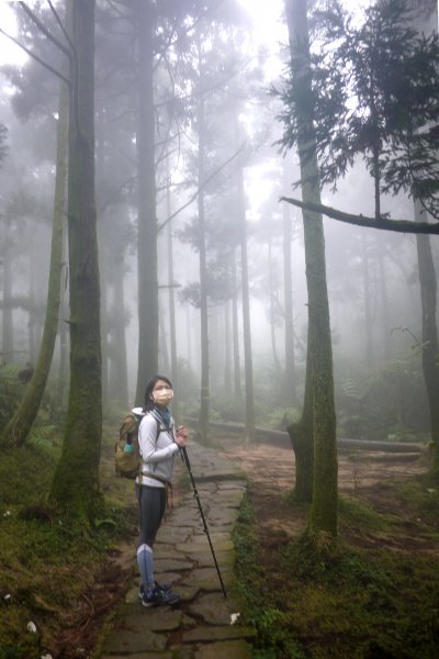 台北大縱走第三段 風櫃口-頂山-擎天崗-冷水坑-七星山-小油坑1585328