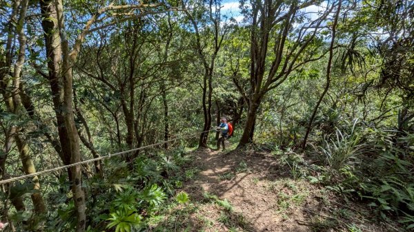 114.06.28內平林山-番子坑山-平湖森林遊樂區之O型2824252