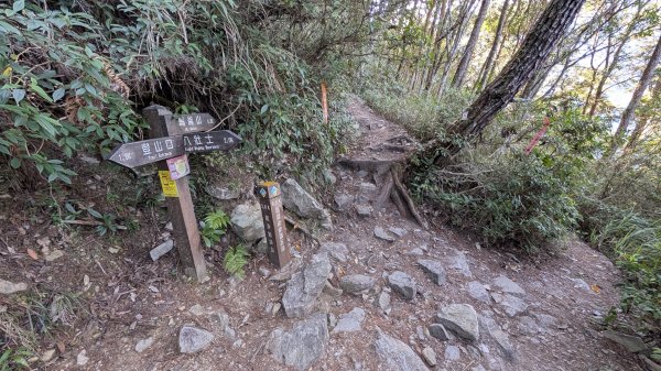 【中級山】五星級步道，谷關七雄馬崙山3021976