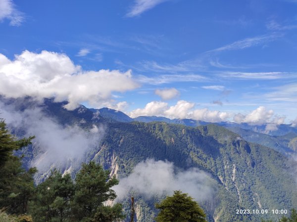 對關山逆上郡大下開高山O行2342916