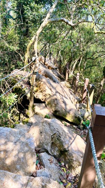 龍麟山登山步道2730760