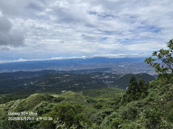 2025-07-05臺北大縱走第三段：小油坑至風櫃口2828983