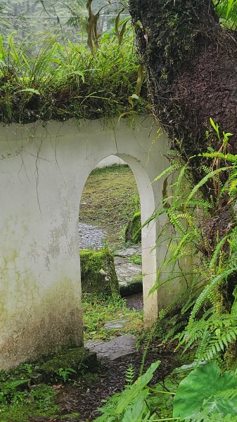 2025-0221 明池步道2718242