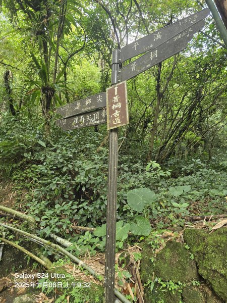 2025-11-08微笑山線：【五分山系】菁桐煤礦段2932705