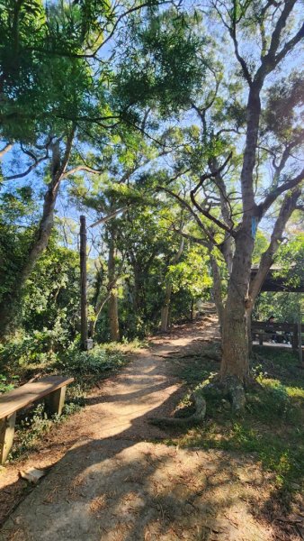 【田中】田中森林步道連走麒麟山2722576