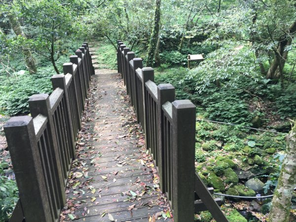 楓樹湖古道-十八彎古道577817