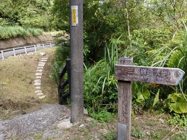 平溪區大華步道+幼坑古道+幼坑崙(大華車站-三貂嶺車站)2925180