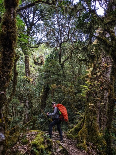 【高雄桃源】南一段。石山秀湖1227395