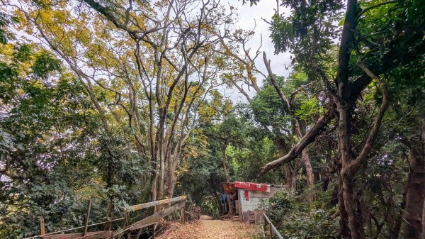 【台灣健行】台中天際線、南觀音山2695743