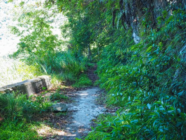 [百岳]能高越嶺逆走與奇萊南峰1042671