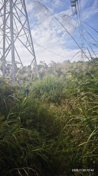 2025-1130 新店三(二)潭縱走2966920