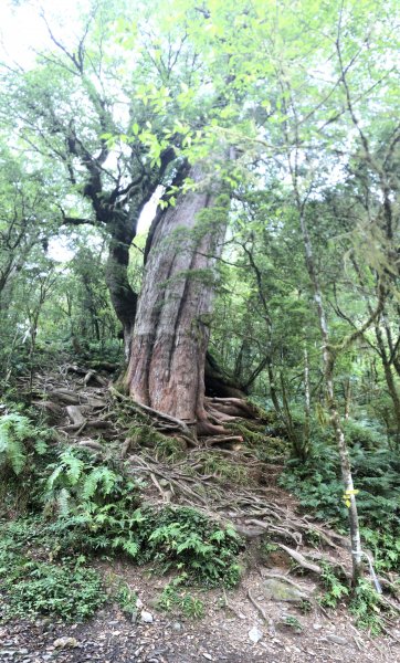 宜蘭 四季 加羅湖633830