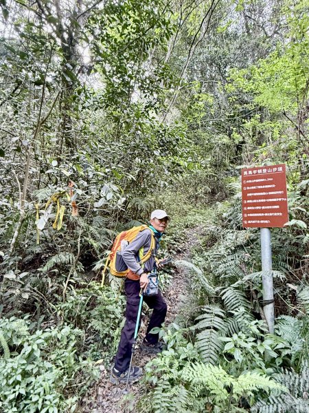完登新南橫三星-馬馬宇頓山   2026.3.273027522