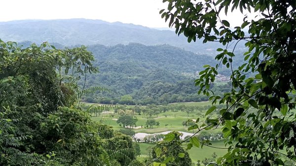 20250531 新竹關西 赤柯山及東獅頭山 O型2801095