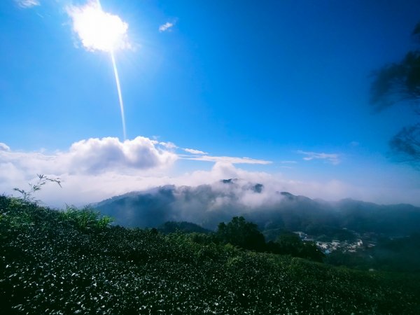 雲嘉連峰2365688