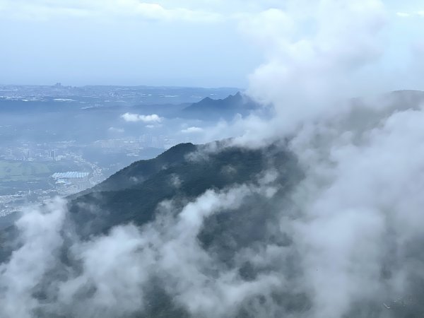 【臺北大縱走第三段】小油坑→風櫃口 之 天雨路滑小孩還特別多2178603