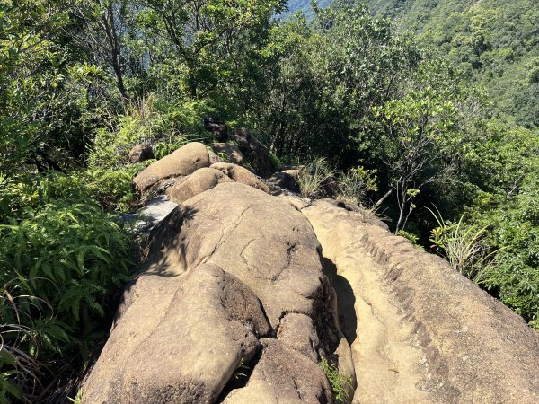 [微笑山線_第九段] 2025_0914 二格山系_天王峰2889550
