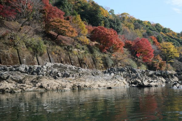 【海外健行】保津川-嵐山竹林- 天龍寺-常寂光寺1939359