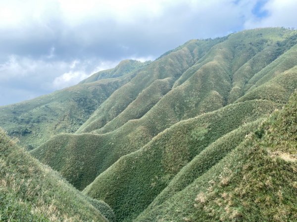 聖母登山步道～抹茶山 🙋新手上山1718841