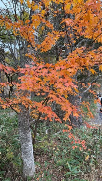 長野上高地2803706