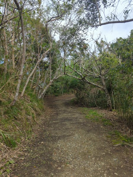 2025.02.27－月眉山2727904