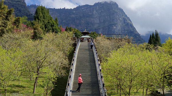 (姨婆趴趴走)第三十九集:嘉義梅山寒溪呢森林人文叡地祈福、賞櫻、觀景，攀登盟山2435470