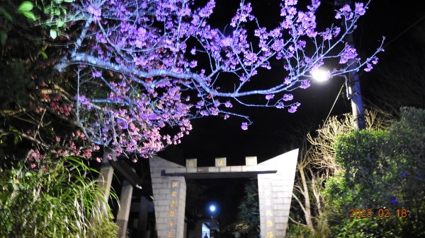 觀音山日出雲海+觀音圈+下弦月+曙光火燒雲&太平濱海步道晚霞海霧&琉璃光2/182035150