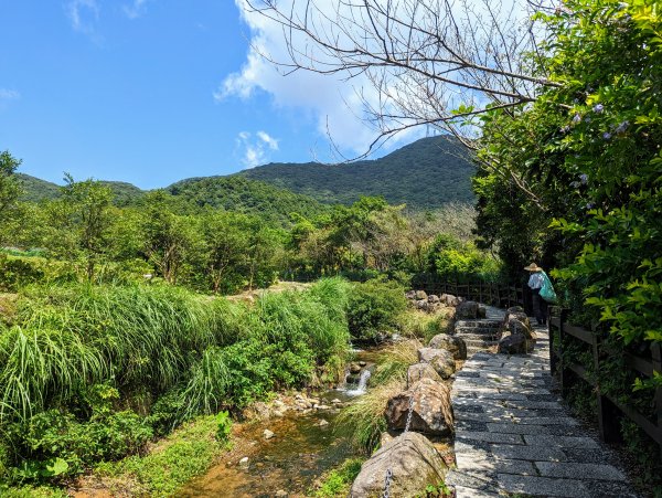 竹子湖步道群悠遊行1853527