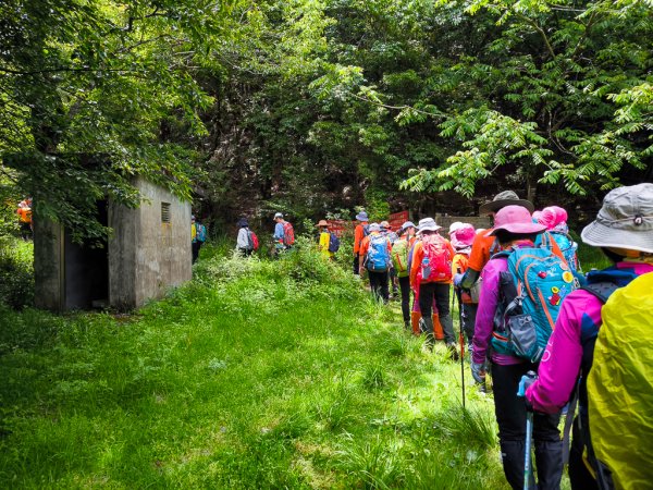 2025-05-17 羅葉尾溪秘境2792405