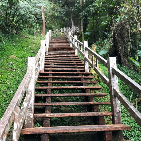 1090216奮起湖木馬古道、衫林步道840160