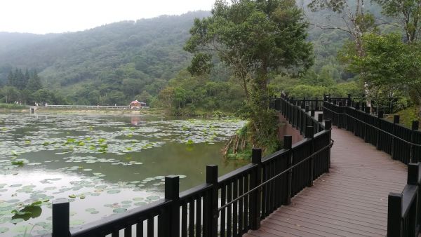 20180603南庄向天湖環湖步道346498