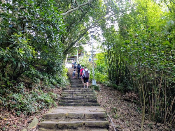 觀音山(小百岳#5)硬漢嶺及楓櫃斗湖步道980406