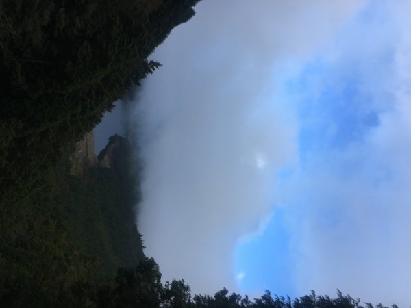 太平山台灣山毛櫸步道、魔幻森林、翠峰湖、望洋山2336443
