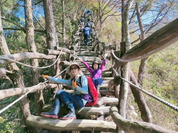 1110116 大坑四，五，三之一號步道O型一圈1584048