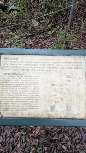 塔比多(tapido)步道2784619