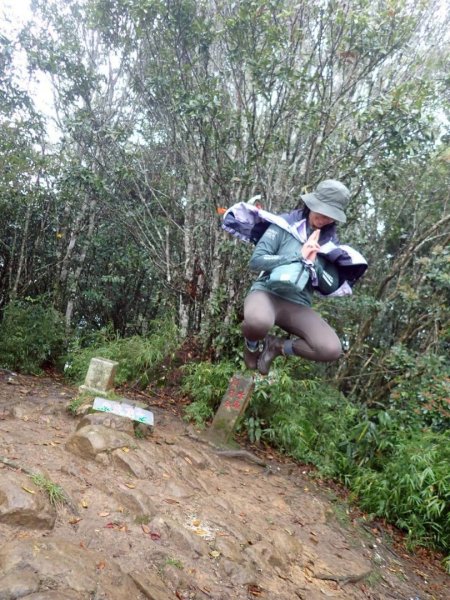 北得拉曼神木群連走內鳥嘴山2940200