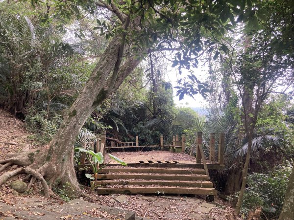 飛鳳山登山步道2459567