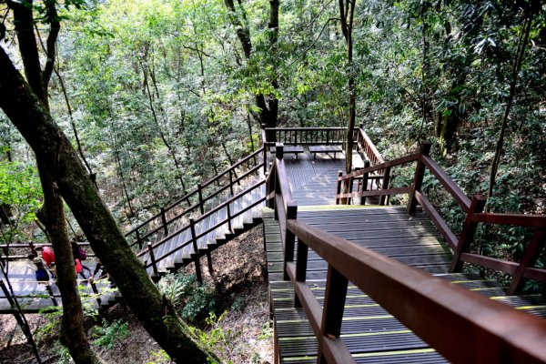 奧萬大國家森林遊樂區步道群545604
