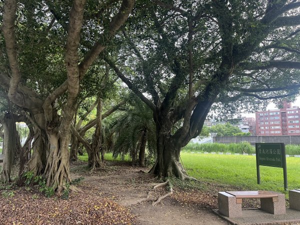 [2025臺北健走趣-01/49] 2025_0617_景美河濱公園2814562